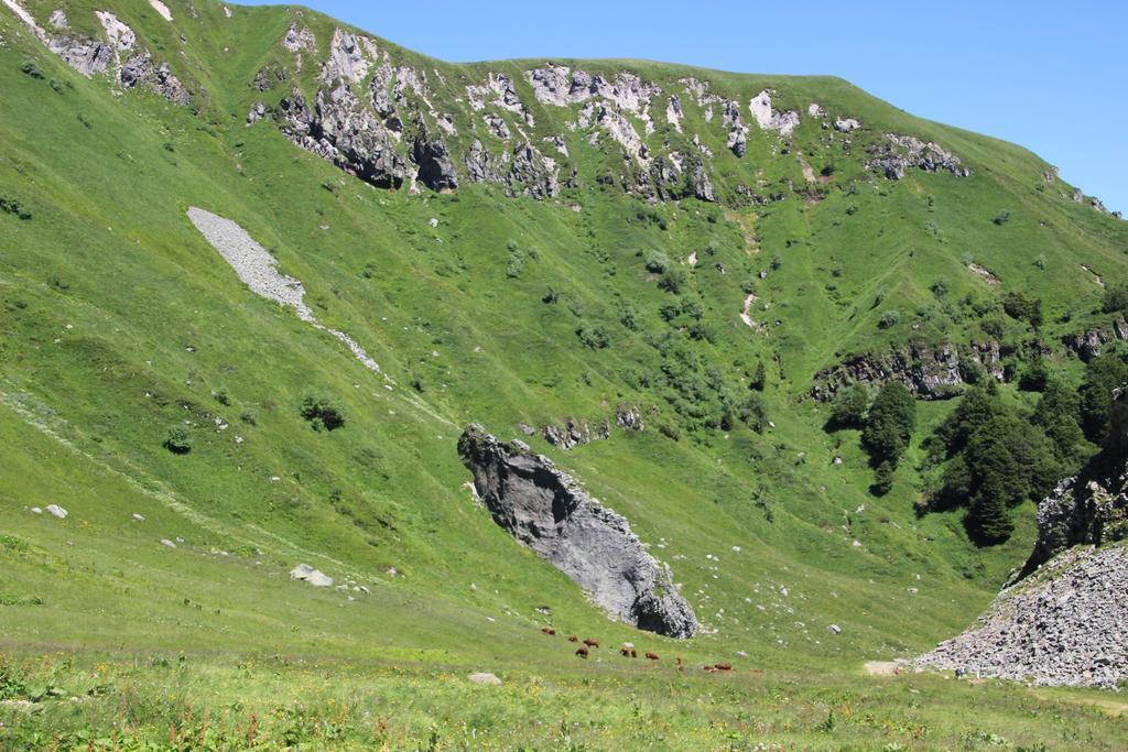 Apartamento Les cascades Mont-Dore Habitación foto